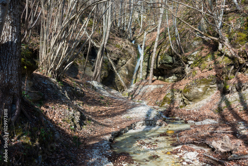 Amazing scenery by the little waterfall of Kagia, Panagitsa village, Pella, Greece photo