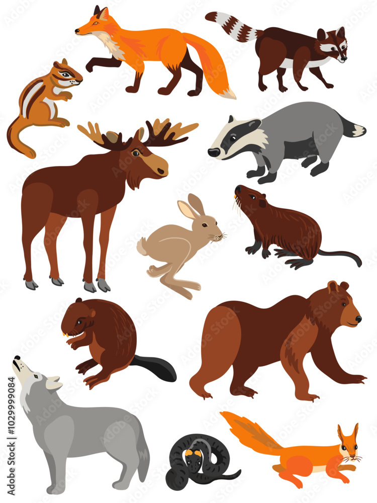 vector drawing set of forest animals, isolated at white background , cartoon style characters vector drawing set of forest animals, isolated at white background , cartoon style characters