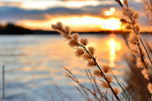 Sunset Flare
