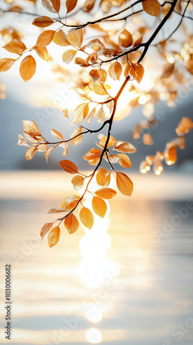 Wild Nature At Sunset