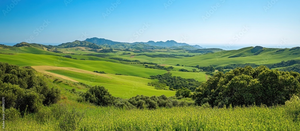 Panoramic view of a green rolling hills landscape with trees and a blue sky. Panoramic view of a green rolling hills landscape with trees and a blue sky.