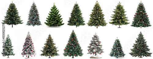Vibrant green pine Christmas tree adorned with colorful ornaments and twinkling lights set against a bright white background