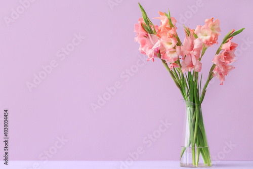 Glass vase with bouquet of beautiful gladiolus flowers on lilac background