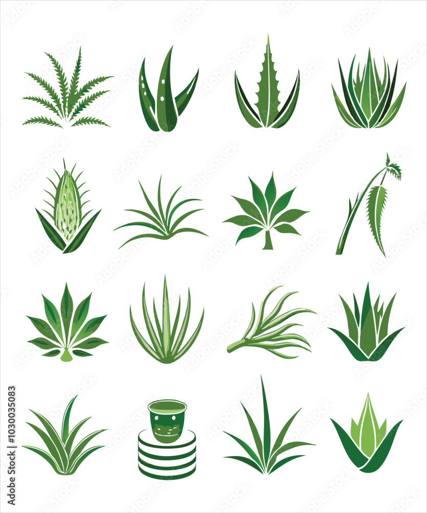 Fototapeta premium cannabis leaves of set