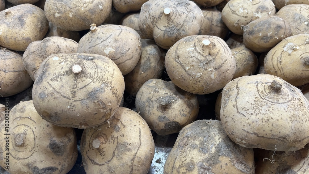 Fresh and raw vegetables the market. Fresh potatoes, bel peppers, tomatoes, zucchini, eggplant and green beans for sale at vegetable market, close up. Organic vegetables at local market.
