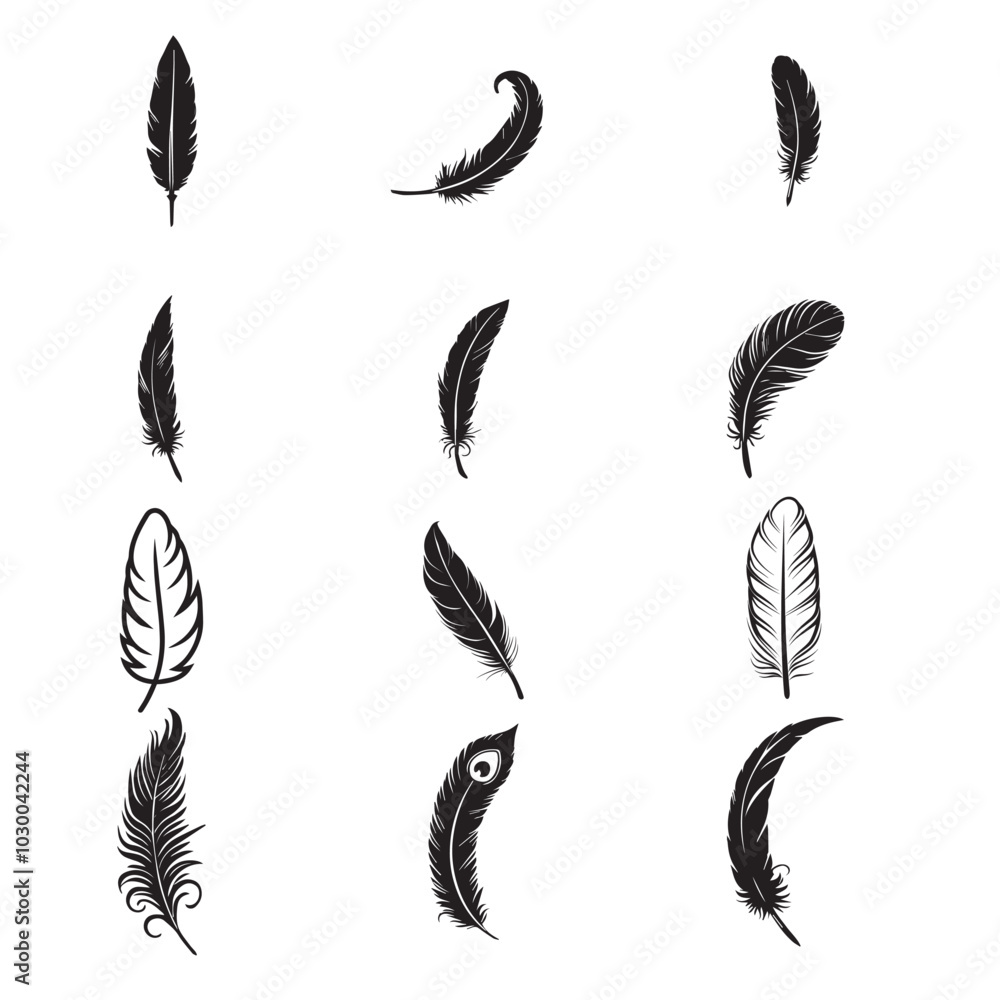 Collection of Feather silhouette Design - Bird Feather Vector illustration in black and white Collection of Feather silhouette Design - Bird Feather Vector illustration in black and white