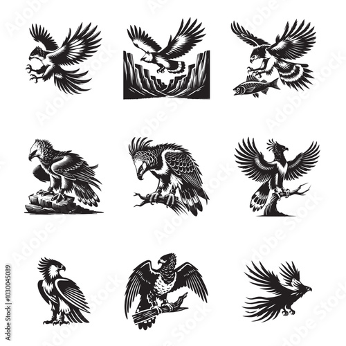 Collection of Harpy eagle Silhouette Design - Harpy eagle Vector illustration in black and white
