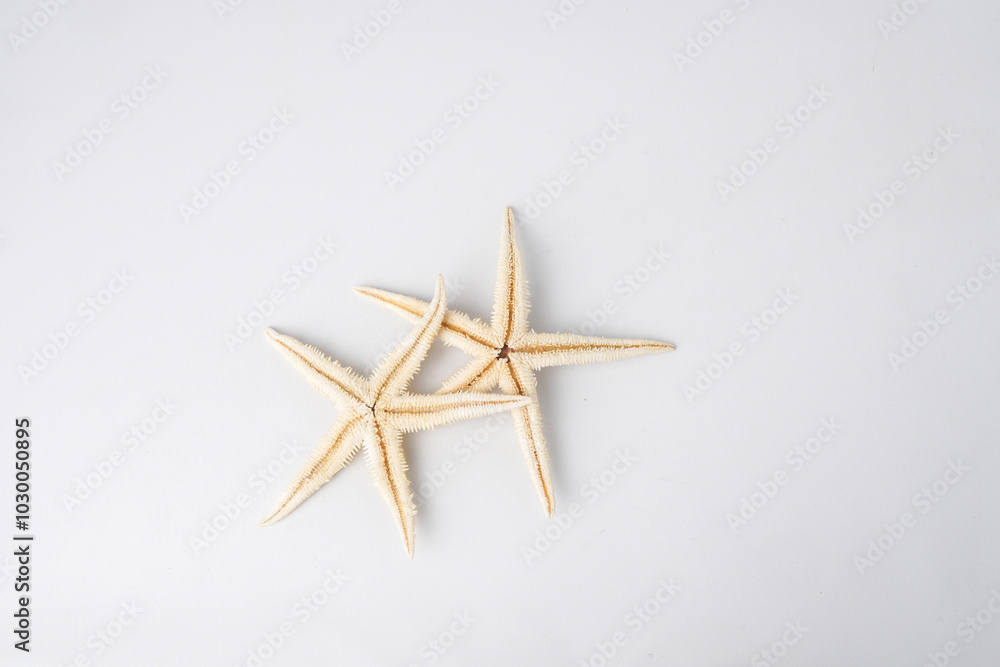Close-up photo of Dried starfish or sea star isolated on white background. Empty blank copy text space. Concept for ocean decoration ornament. Close-up photo of Dried starfish or sea star isolated on white background. Empty blank copy text space. Concept for ocean decoration ornament.