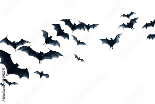silhouette of a flock of bats