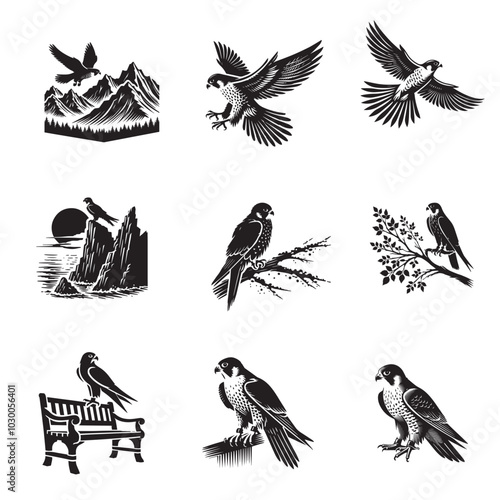 Collection of Peregrine falcon Vector illustration - Peregrine Bird ClipArt Design photo