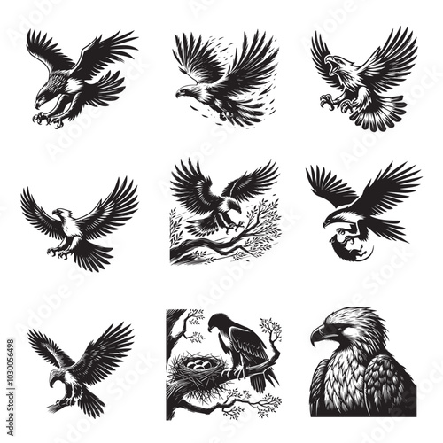 Collection of Philippine eagle Vector illustration - Peregrine Bird Clipart Design
