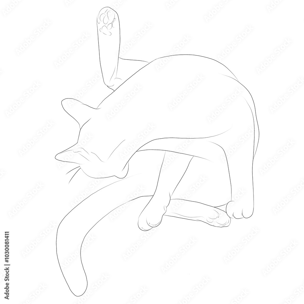 猫 線画 猫 線画