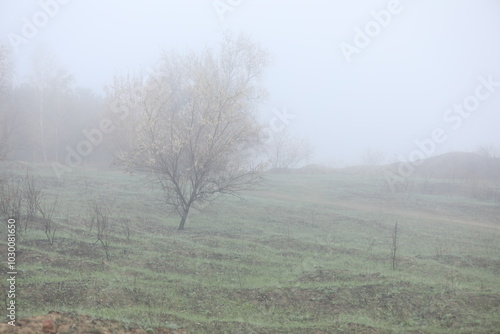 Autumn foggy morning. Country landscape