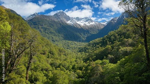 A lush valley with snow-capped mountains in the distance under a blue sky with white clouds.