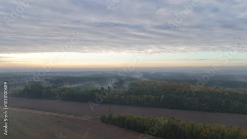 Autumn October morning, foggy, cool, changing colors forest, natural landscape, fields, meadows.