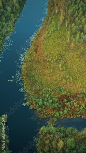 Domzheritsy, Vitebsk Region, Belarus. Buzyanka River. Aerial View Of Summer Curved River Landscape In Autumn Evening. Top View Of Beautiful European Nature From High Attitude In Summer Season photo