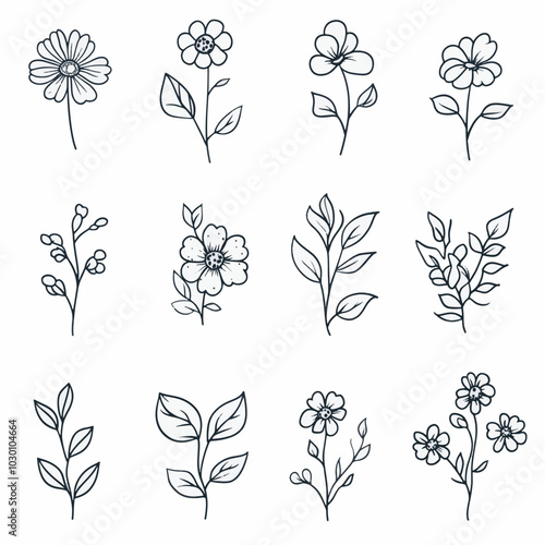 Botanical Illustrations ,Hand-Drawn Ornamental and Wild Flowers photo