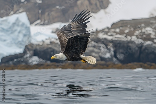 Majestic Bald Eagle Soaring Over Water with Snowy Mountain Background