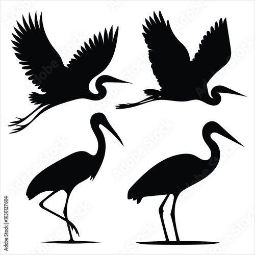 Four Heron Silhouettes in Black and White Vector Art