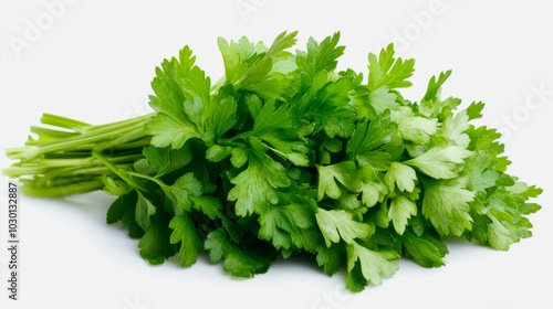 A bunch of fresh parsley leaves with their crisp, bright green appearance, isolated on a white background