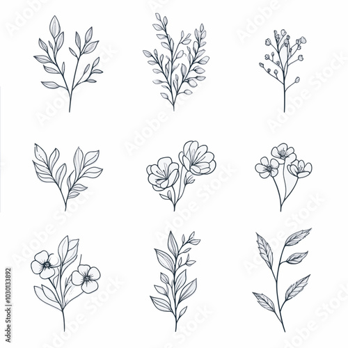 hand drawn ornamental flowers and wildflowers