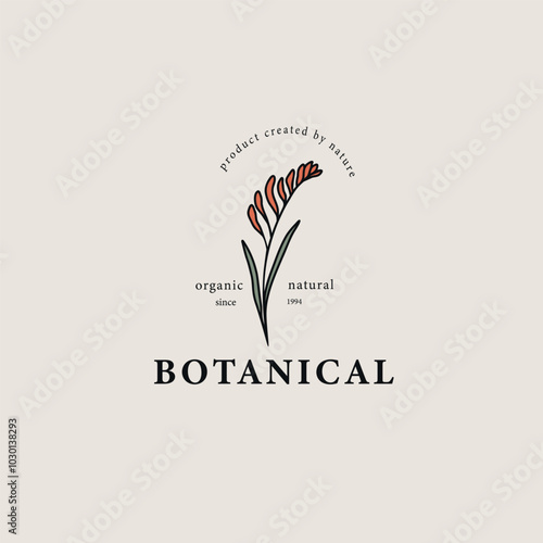 Line art kangaroo paw drawing. Australian native flower