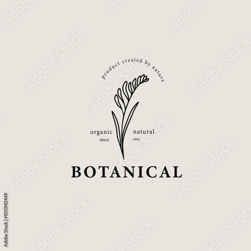 Line art kangaroo paw illustration. Australian native flower