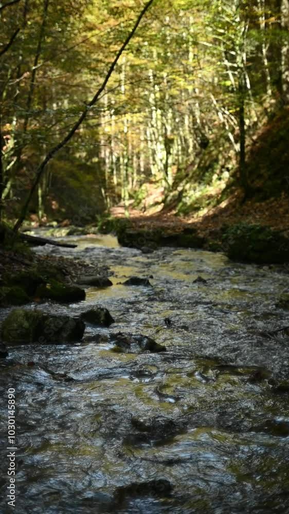 Vertical shot of a mountain stream in a forest, slow motion, next to Josefsthaler Wasserfälle, Bavaria Vertical shot of a mountain stream in a forest, slow motion, next to Josefsthaler Wasserfälle, Bavaria