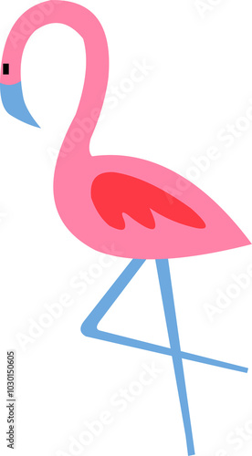 pink flamingo bird