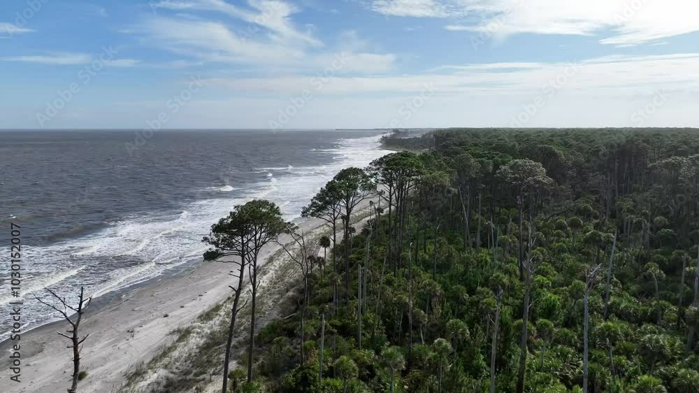 aerial hunting island beach in sc, south carolina aerial hunting island beach in sc, south carolina