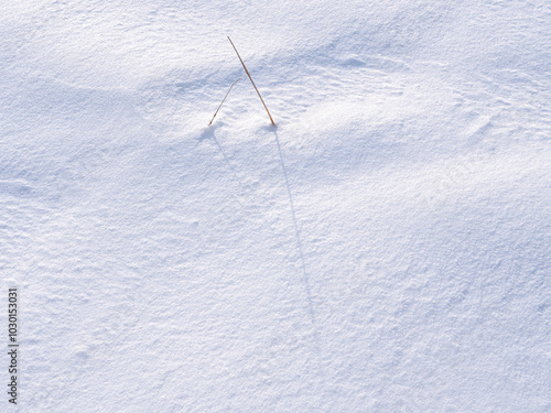 snow on the grassland,thin hay in snow