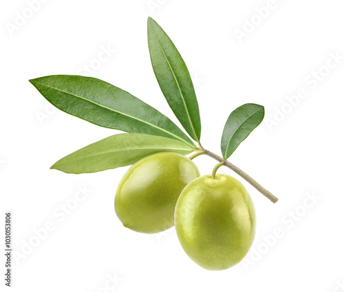 Wallpaper Mural Two green olives with leaves isolated on white background. Clipping path. Torontodigital.ca