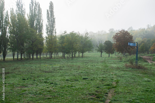 Paisajes de bosque otoñal y campo con niebla photo