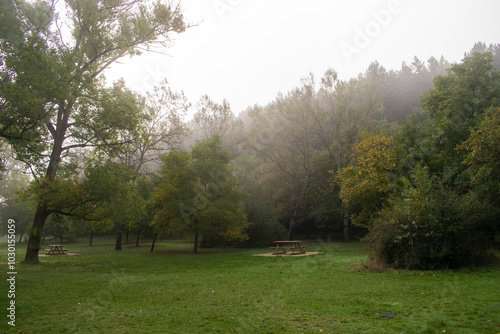 Paisaje de bosques un día con niebla y mesas de madera de Burgos, España