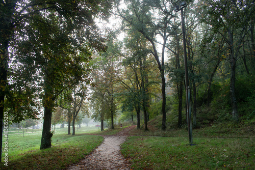 Paisaje con camino atravesando un bosque de otoño de Burgos, España