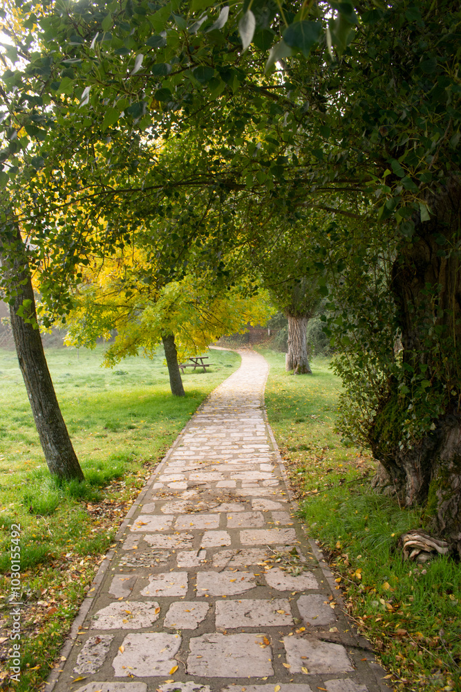 Paisaje con camino atravesando un bosque de otoño de Burgos, España Paisaje con camino atravesando un bosque de otoño de Burgos, España