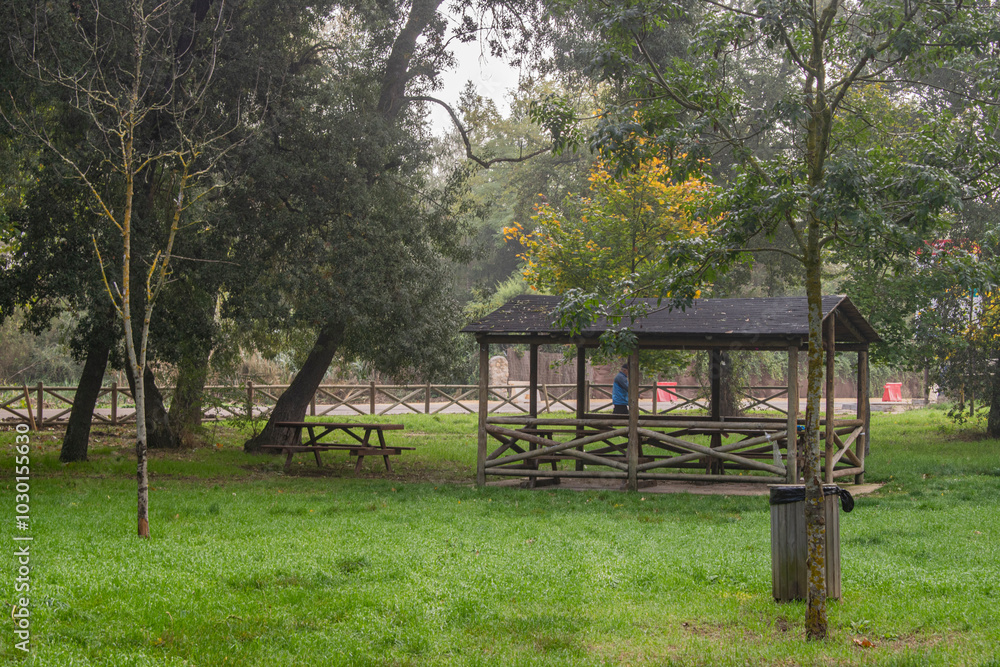 Bosque en un día con niebla en otoño con mesa comedor de picnic de Burgos, España Bosque en un día con niebla en otoño con mesa comedor de picnic de Burgos, España