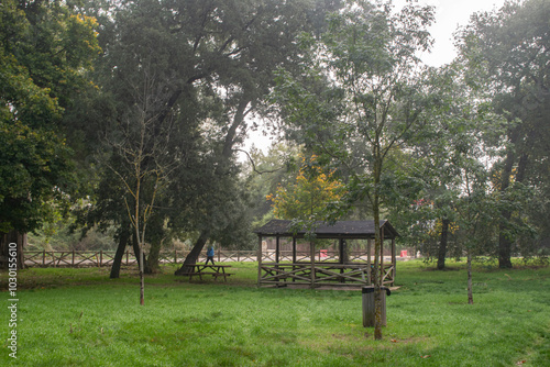 Bosque en un día con niebla en otoño con mesa comedor de picnic de Burgos, España