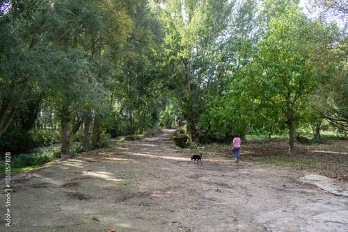 Señora paseando un perro a través de un camino en un bosque photo