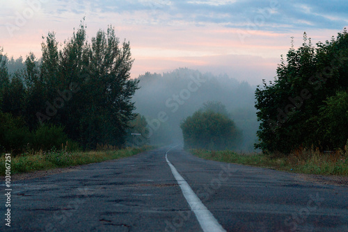 fog on the road in the woods at dawn