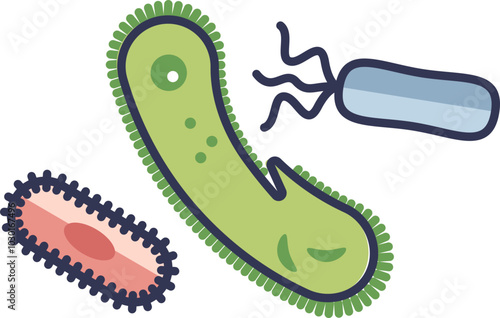 Illustration of various bacteria types, highlighting diversity in microorganisms.