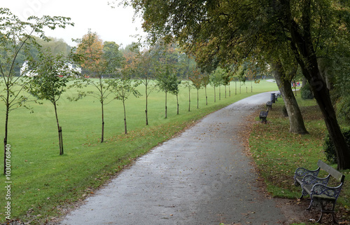 Roberts Park Saltaire, with saplings growing on the side of tarmac path, with row of metal benches with ornate metal work.