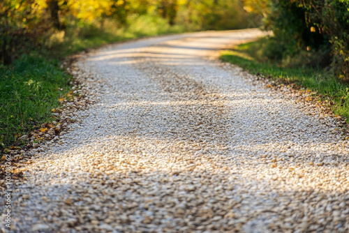 Gravel Road in Rural Forest Landscape