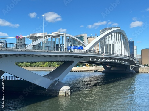 bridge over the river