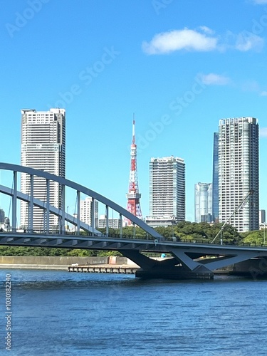city harbour bridge