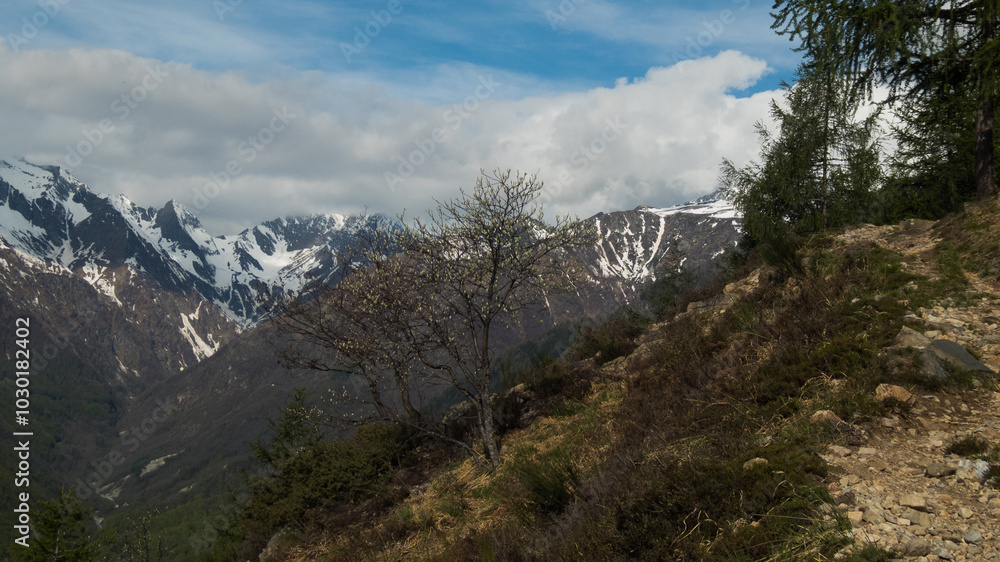 Obraz premium landscape in ossola valley during spring