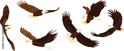 set of flying eagles in flat style, vector