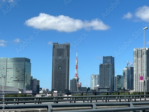 skyscrapers in the city