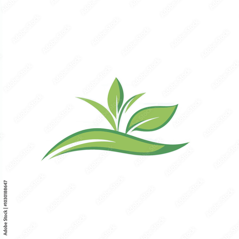 Fototapeta premium green plant isolated on white background