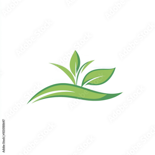 green plant isolated on white background